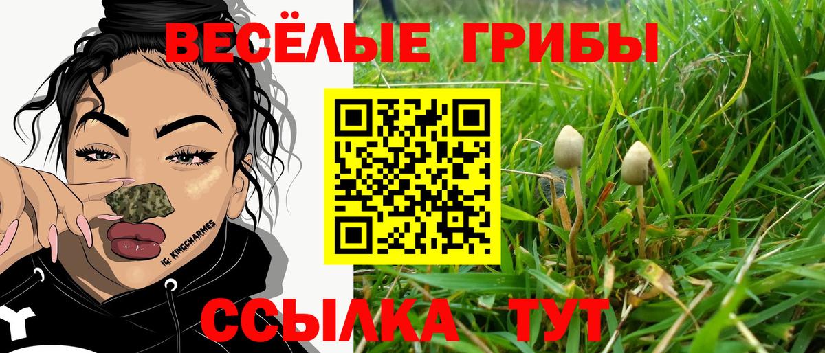 Псилоцибиновые грибы Magic Shrooms  Вход с VPN  Кулебаки  Галлюциногенные грибы мицелий 