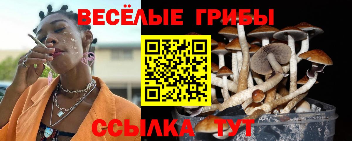 Галлюциногенные грибы GOLDEN TEACHER Кулебаки